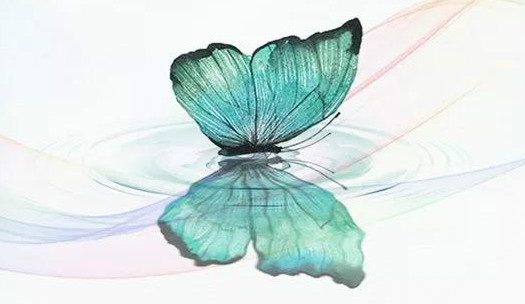 d88尊龙z6(中国区)大康健有限公司-官方网站