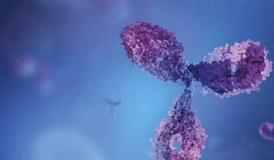 d88尊龙z6(中国区)大康健有限公司-官方网站