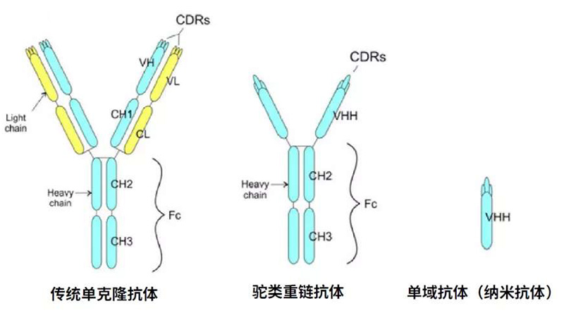 d88尊龙z6(中国区)大康健有限公司-官方网站
