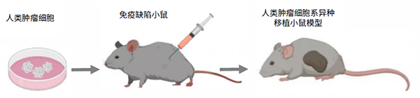 d88尊龙z6(中国区)大康健有限公司-官方网站