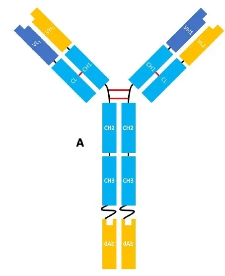 d88尊龙z6(中国区)大康健有限公司-官方网站