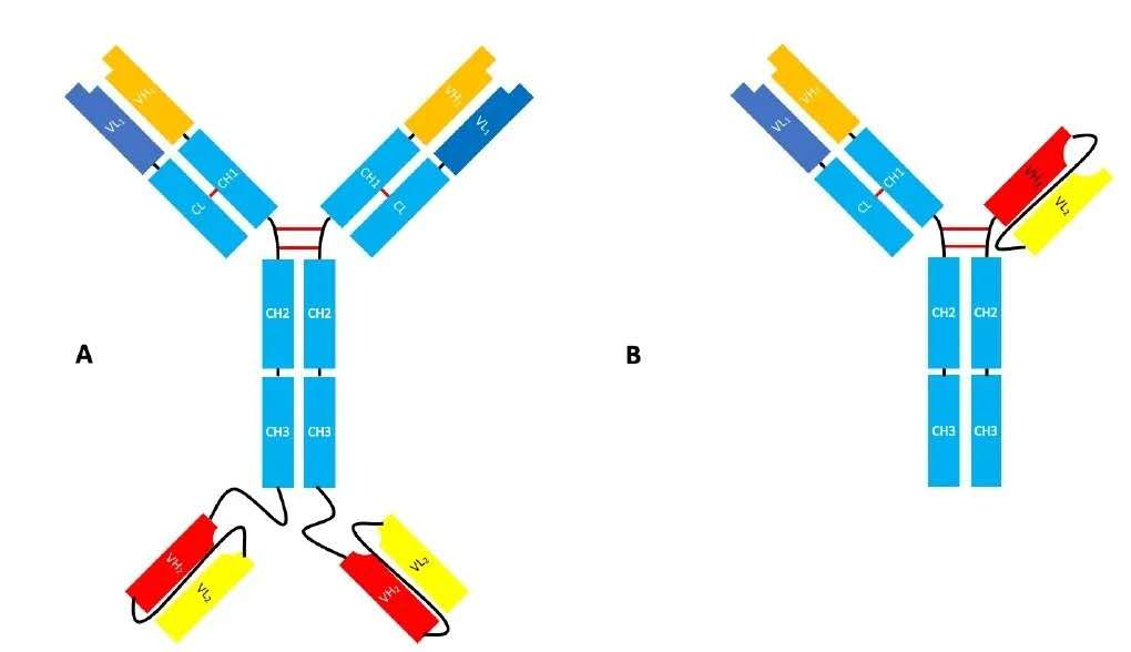 d88尊龙z6(中国区)大康健有限公司-官方网站