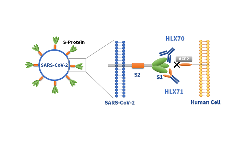 d88尊龙z6(中国区)大康健有限公司-官方网站