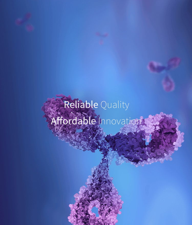 d88尊龙z6(中国区)大康健有限公司-官方网站