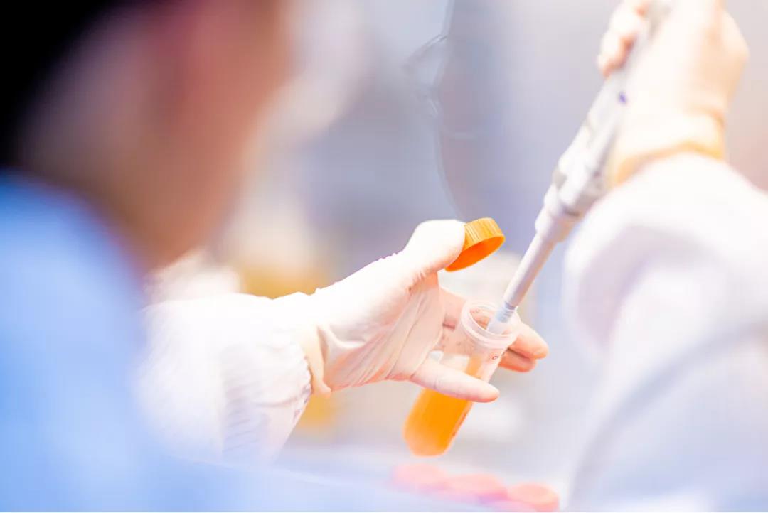 d88尊龙z6(中国区)大康健有限公司-官方网站