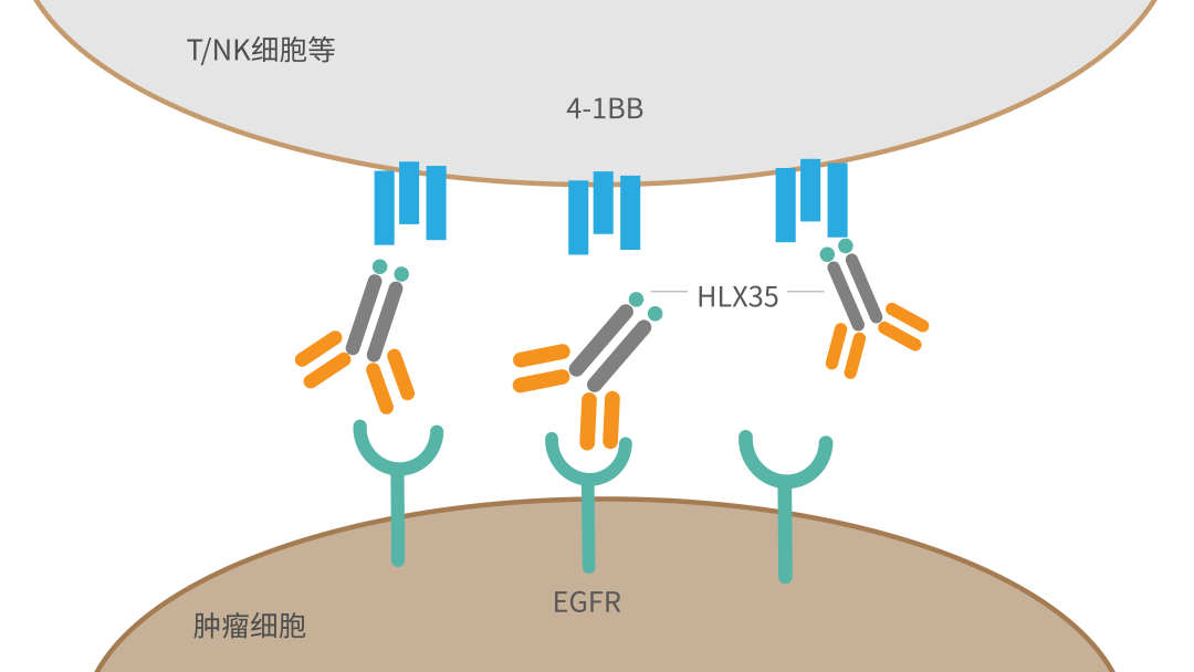 d88尊龙z6(中国区)大康健有限公司-官方网站