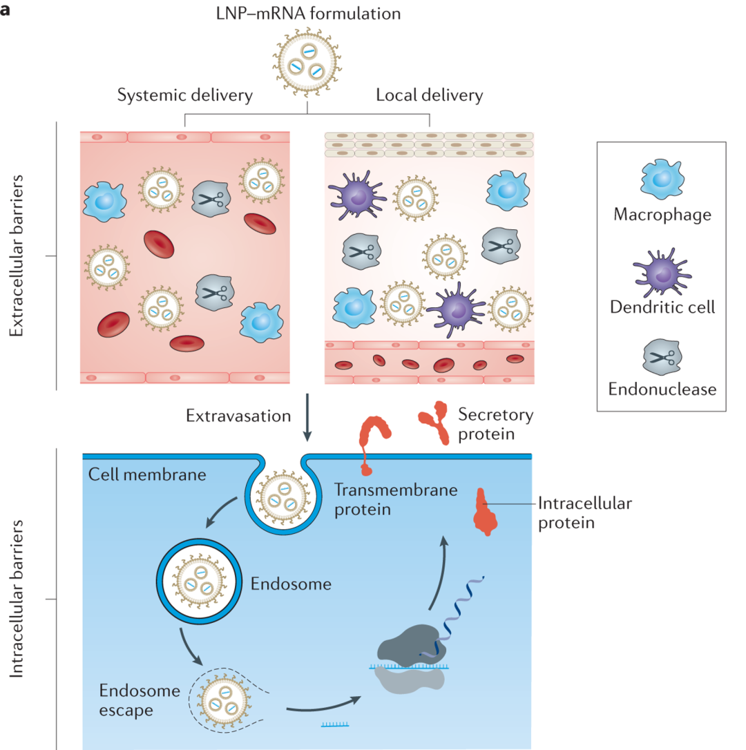 d88尊龙z6(中国区)大康健有限公司-官方网站