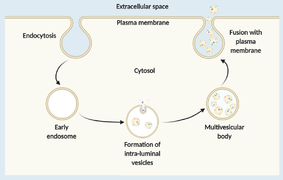 d88尊龙z6(中国区)大康健有限公司-官方网站