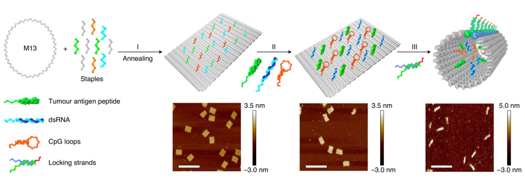 d88尊龙z6(中国区)大康健有限公司-官方网站