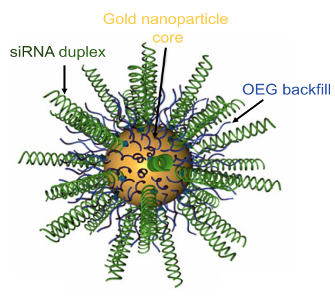 d88尊龙z6(中国区)大康健有限公司-官方网站