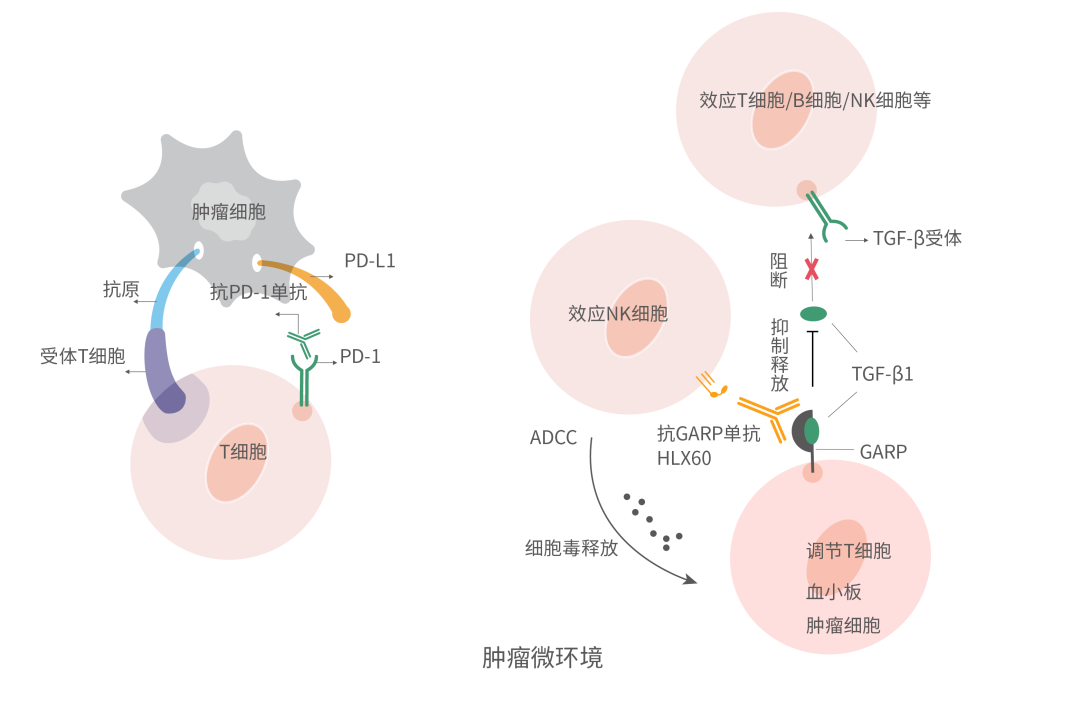 d88尊龙z6(中国区)大康健有限公司-官方网站