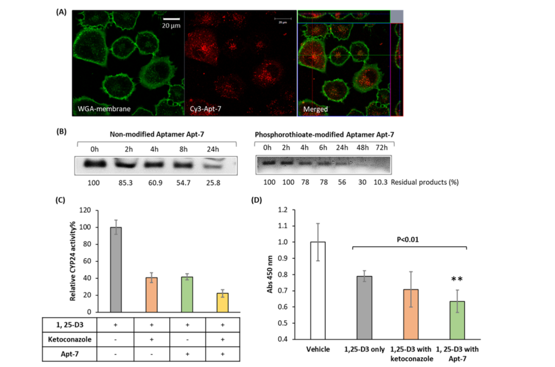 d88尊龙z6(中国区)大康健有限公司-官方网站