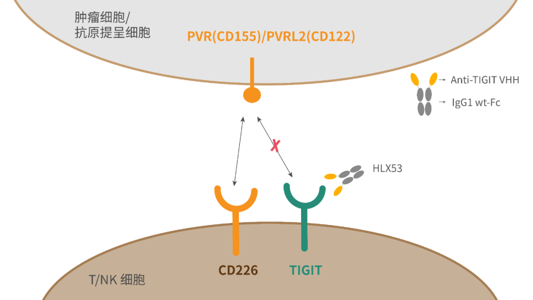 d88尊龙z6(中国区)大康健有限公司-官方网站