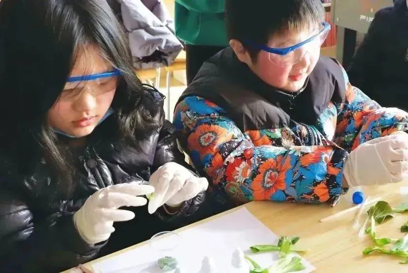 d88尊龙z6(中国区)大康健有限公司-官方网站