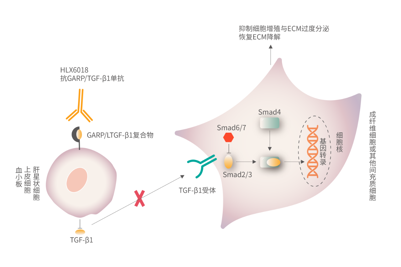 d88尊龙z6(中国区)大康健有限公司-官方网站