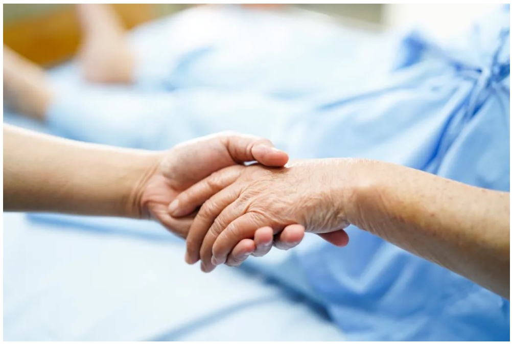 d88尊龙z6(中国区)大康健有限公司-官方网站