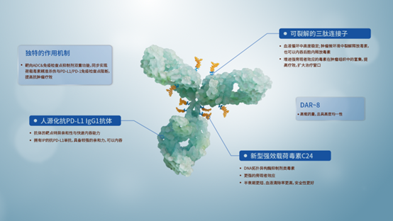 d88尊龙z6(中国区)大康健有限公司-官方网站