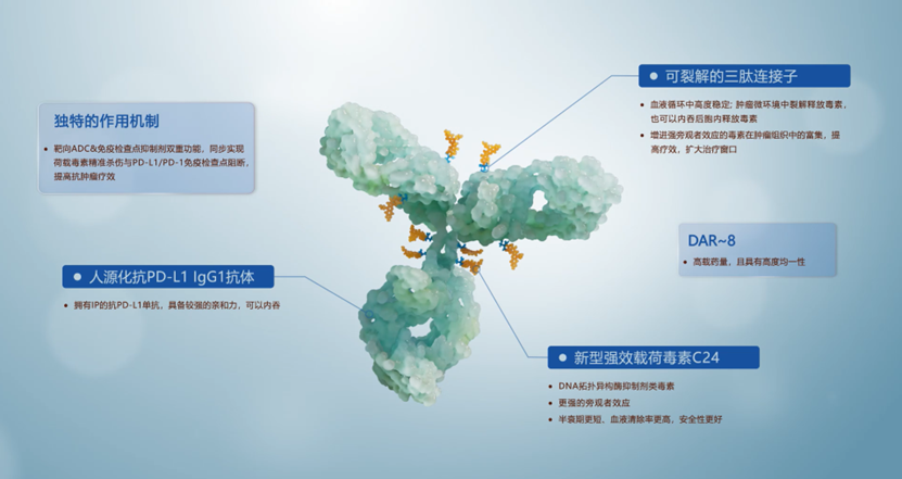 d88尊龙z6(中国区)大康健有限公司-官方网站